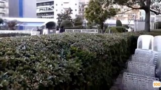 尤物喜欢挡着情人出轨大黑屌
